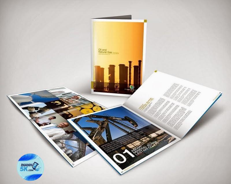 Tại sao nên chọn dịch vụ in catalogue chuyên nghiệp?